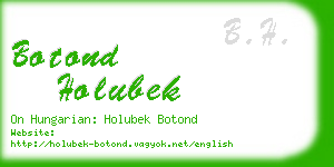 botond holubek business card